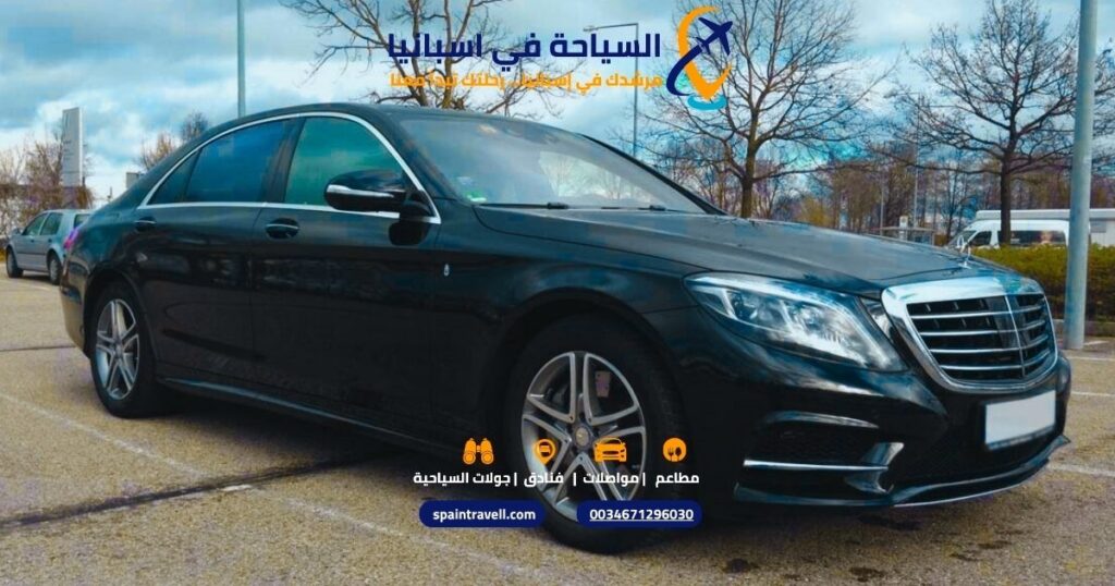 جولة سياحية خاصة إلى كنيسة ساغرادا فاميليا مع سائق في برشلونة